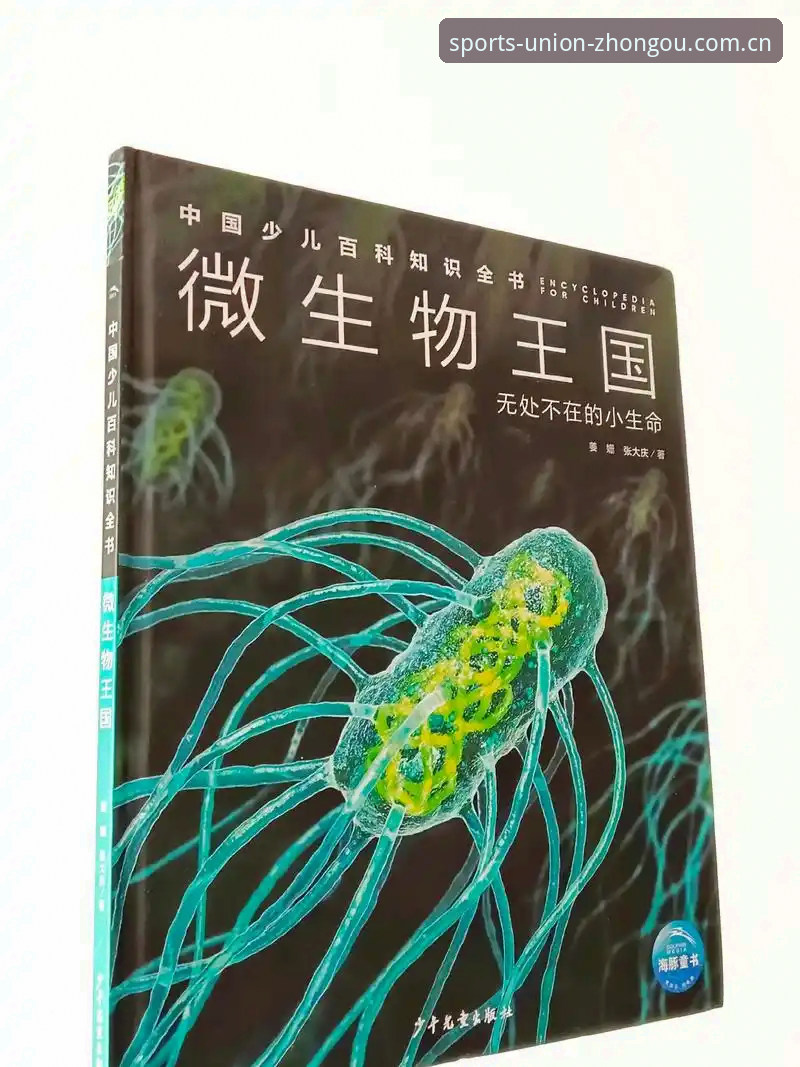 中欧体育2025版 中欧体育2025版深度评测:从技术架构到用户体验的全面分析